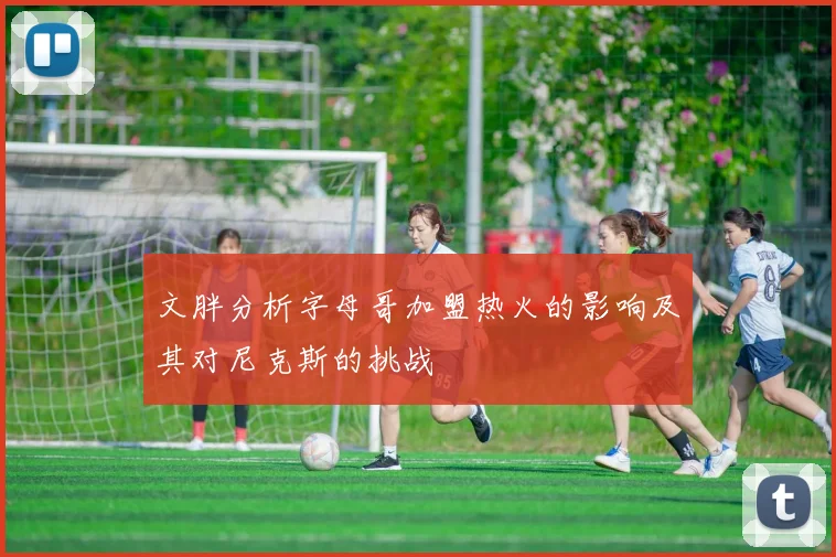文胖分析字母哥加盟热火的影响及其对尼克斯的挑战